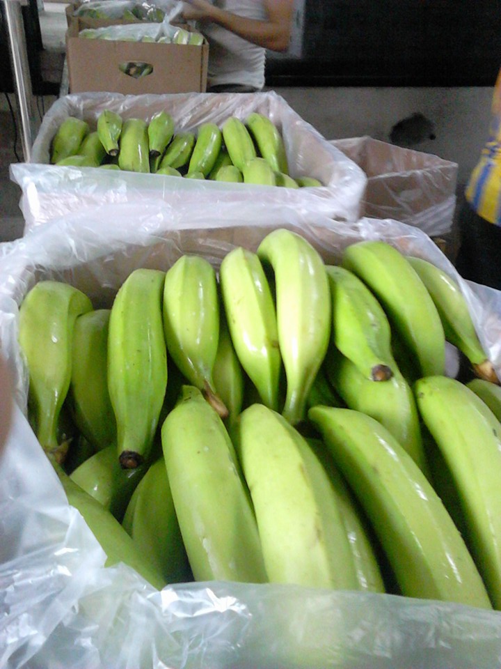 Banana Macho - CALDMOB CO. LTD.
